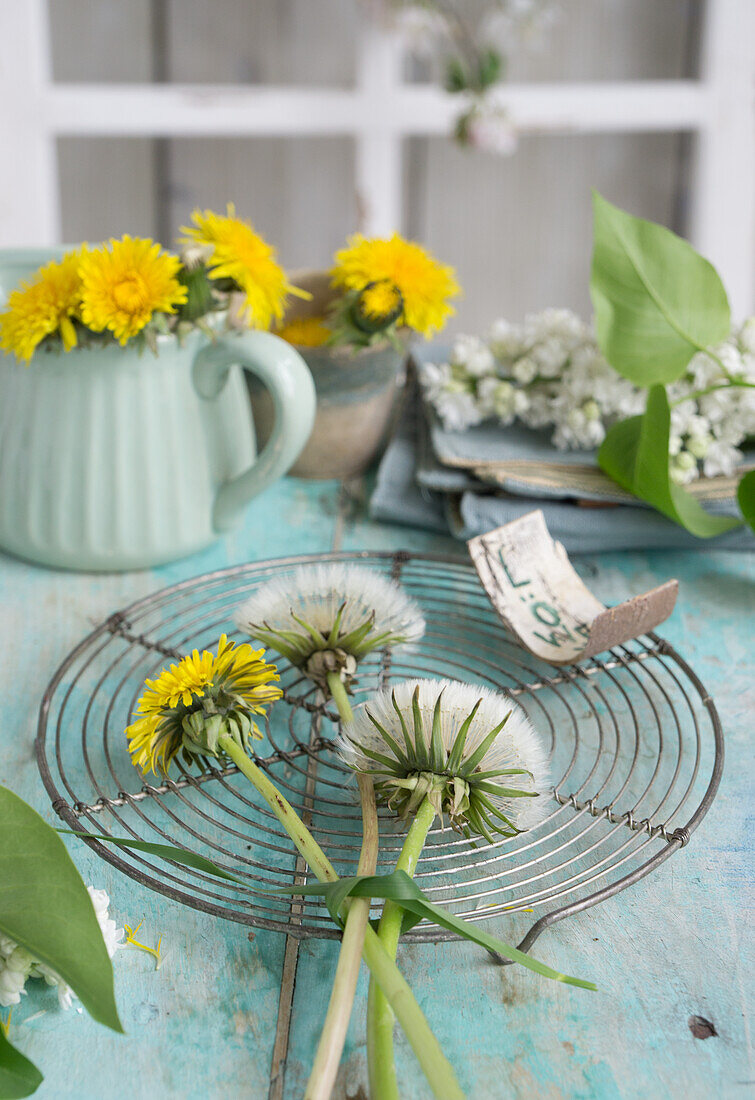 Sträußchen aus Löwenzahn (Taraxum) und Pusteblumen auf Kuchengitter