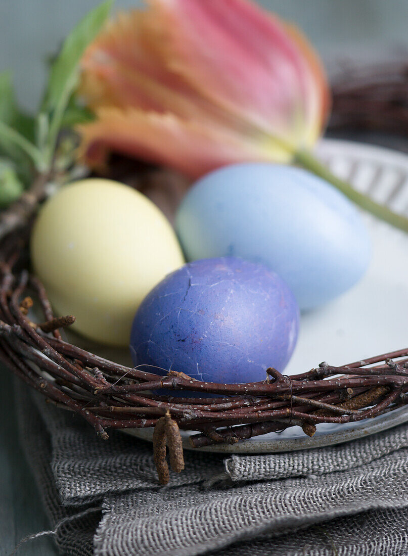 Bunte Ostereier, gefärbt mit Rotkohl und Rote Beete und Kurkuma