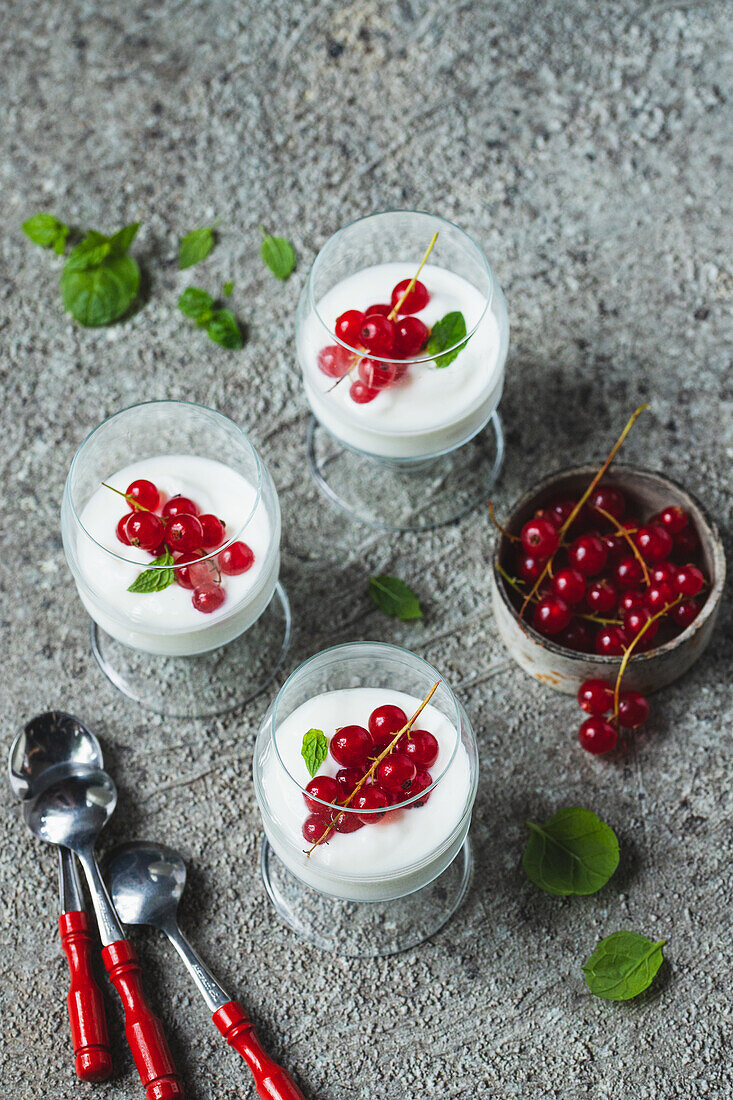 Natural yogurt with redcurrants
