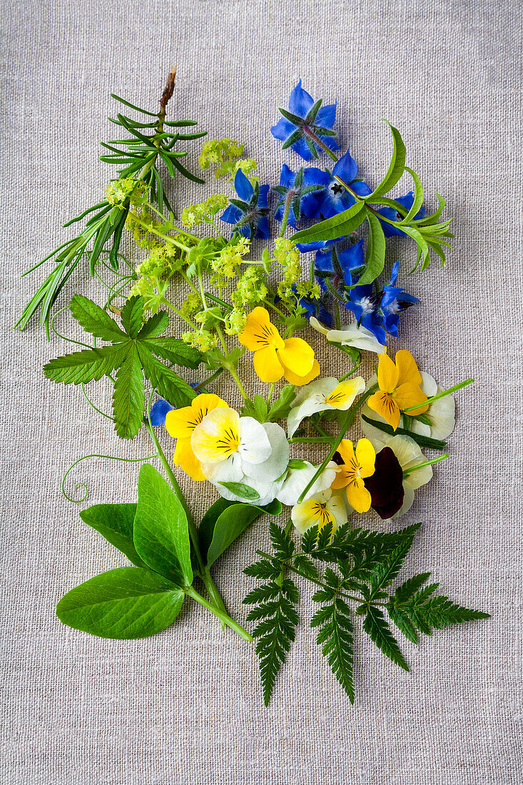 Wild herbs and edible flowers