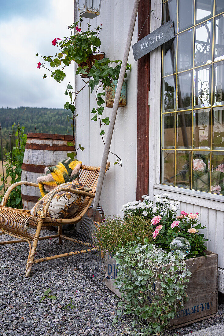 Rustic garden area with rattan armchair and green wooden box