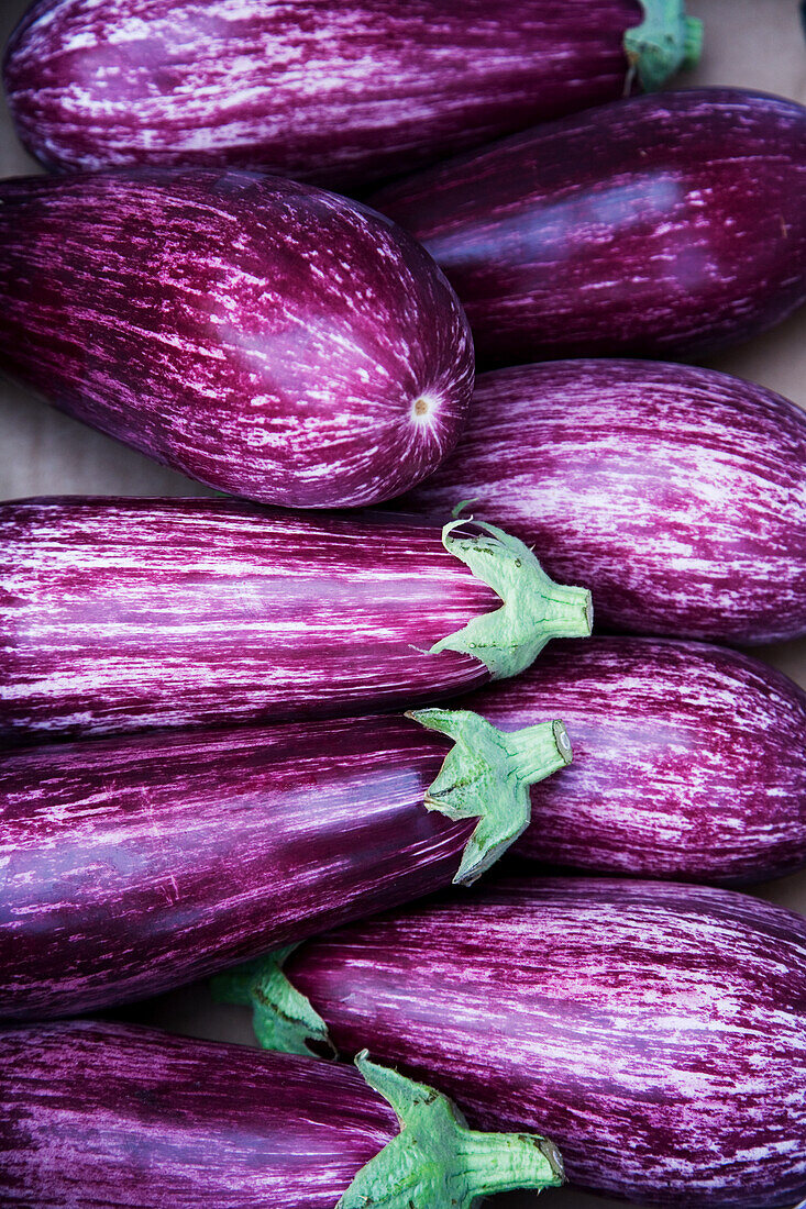 Fresh eggplant