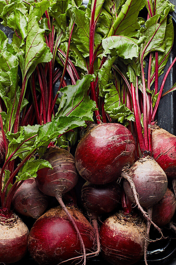 Beetroot