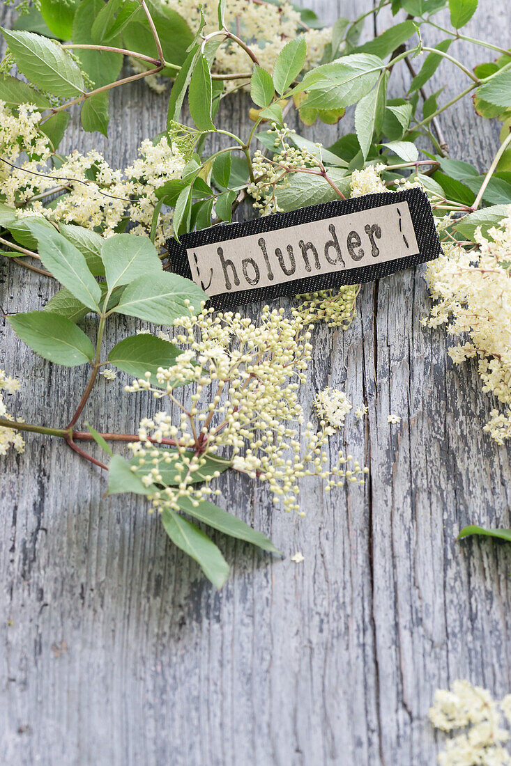 Gestempeltes Schild wird auf Jeansstoff genäht, umgeben von Holunderblüten (Sambucus Nigra)