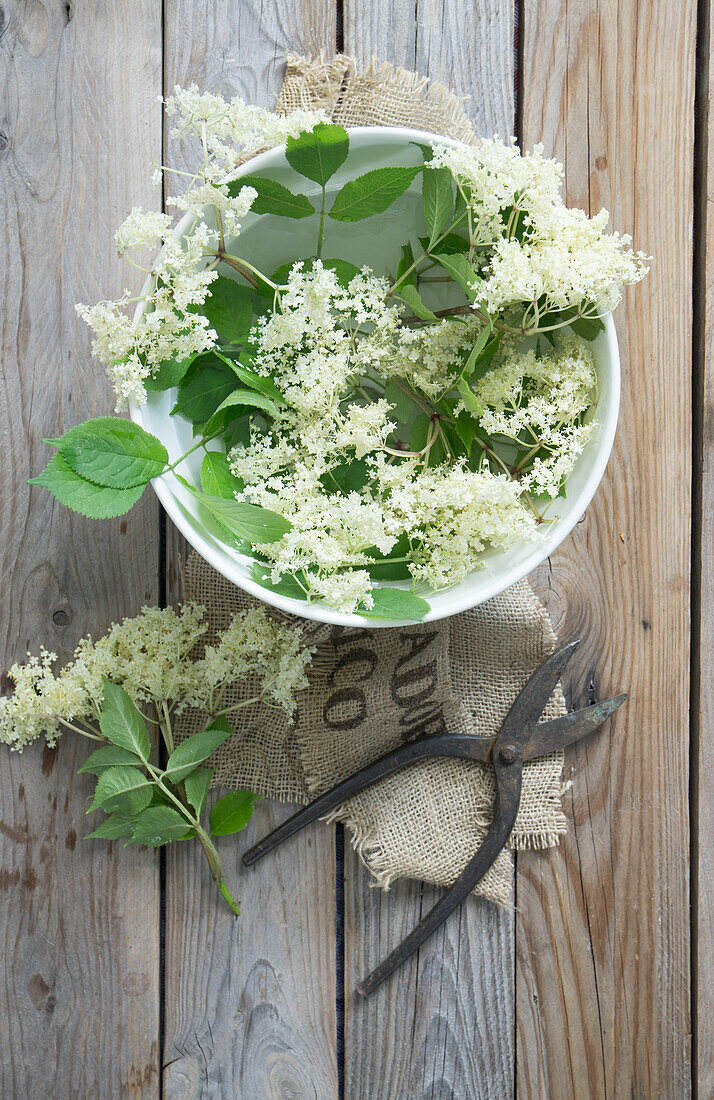 Schüssel mit Holunderblüten (Sambucus Nigra) auf Holztisch