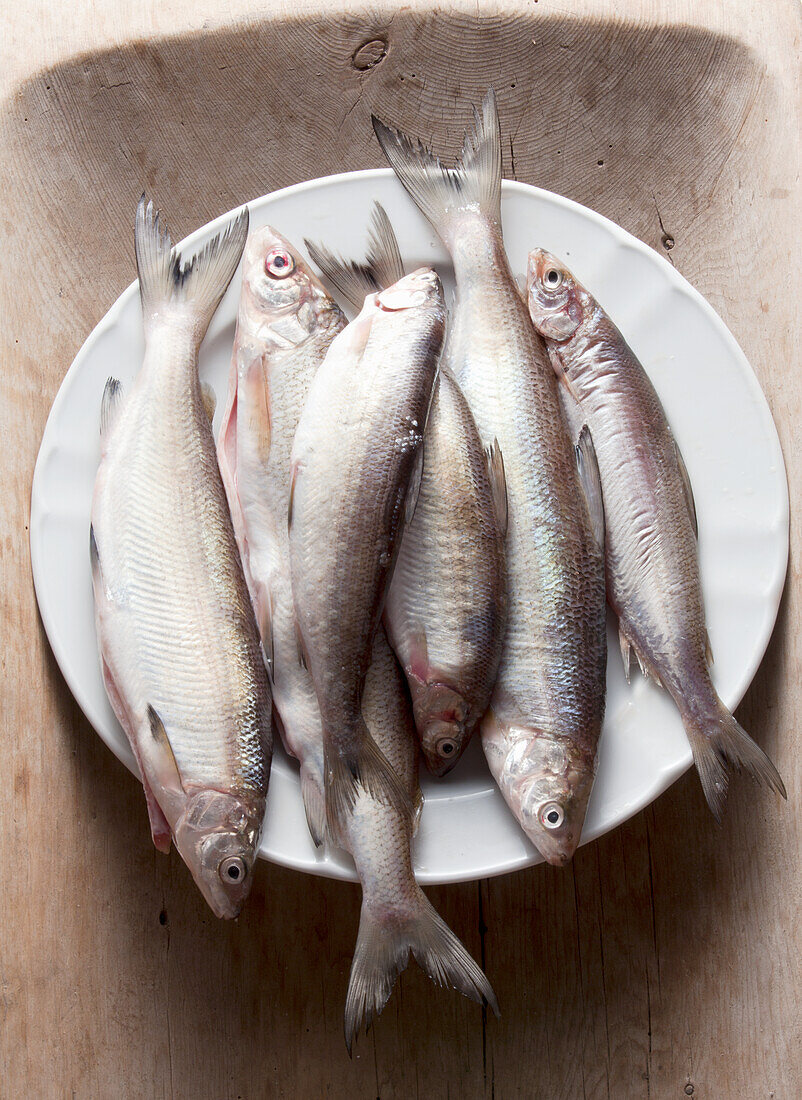 Fresh whitefish (also vendace)