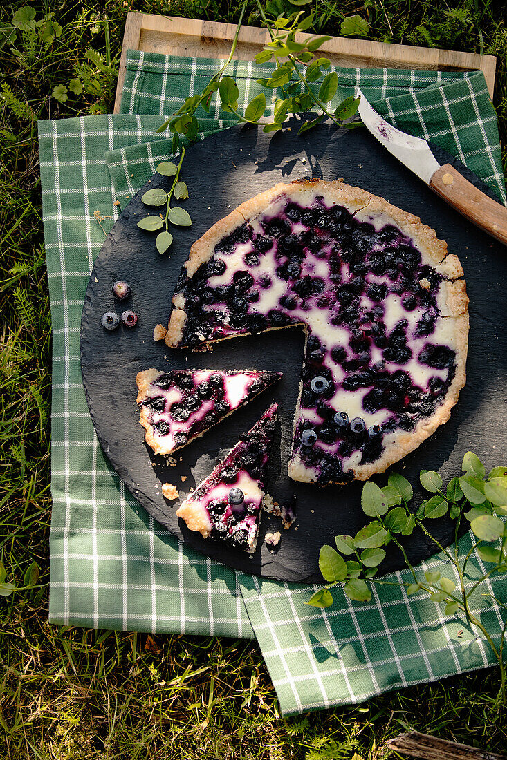 Heidelbeerkuchen