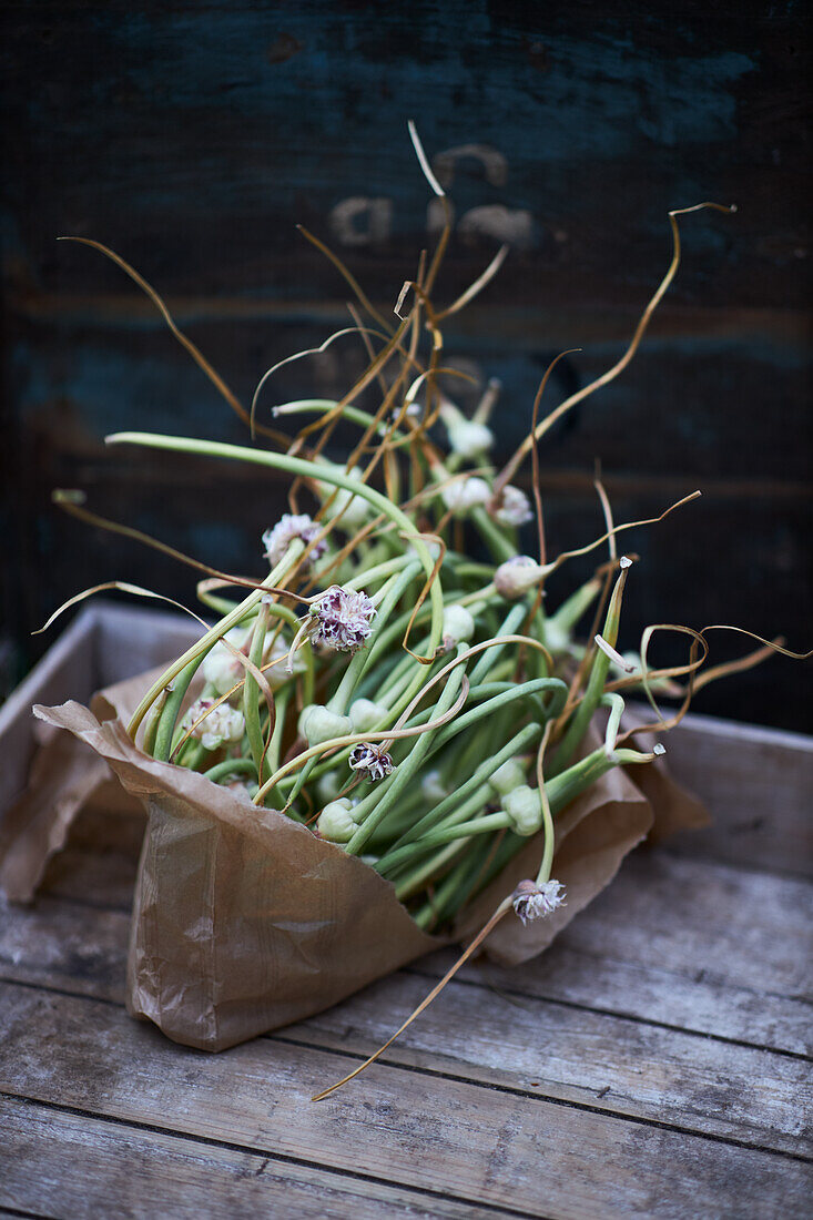 Freshly harvested garlic