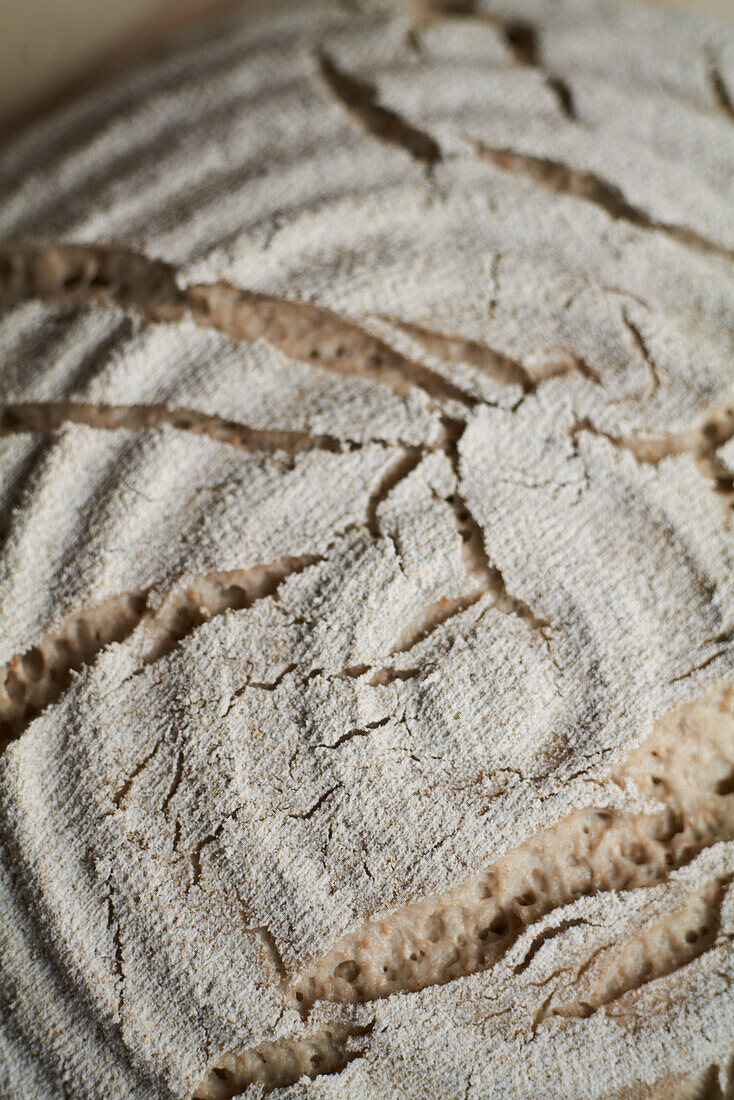 Mixed rye bread after piece proofing