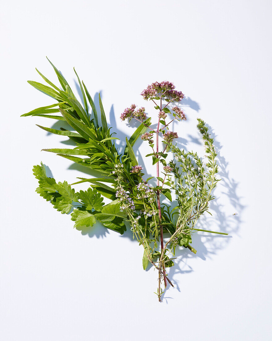 Bouquet of herbs garnished