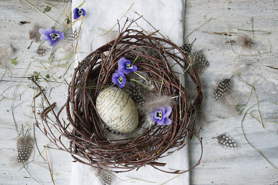 Osterei mit Schriftzug, Hornveilchen (Viola Cornuta) und Feder im Nest aus Birkenzweigen