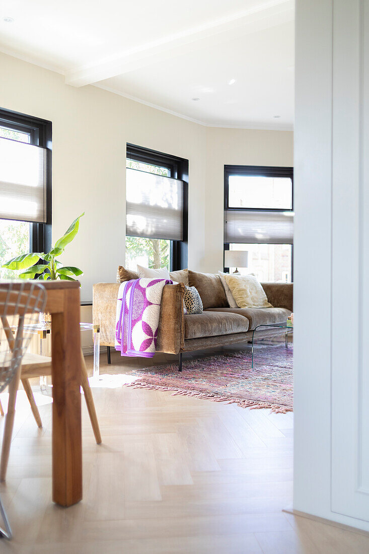 Living room with brown velvet sofa, purple throw blanket and carpet in front of large windows