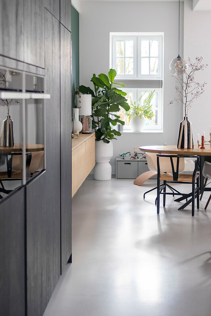 Cozy dining area with ficus tree and Scandinavian design furniture in a bright kitchen