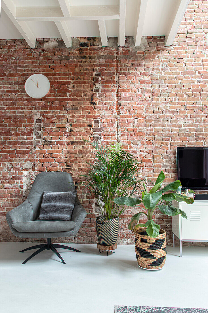 Sessel und Zimmerpflanzen vor freigelegter Backsteinwand im Wohnzimmer