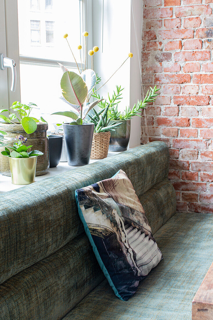 Houseplants on windowsill, upholstered bench against brick wall