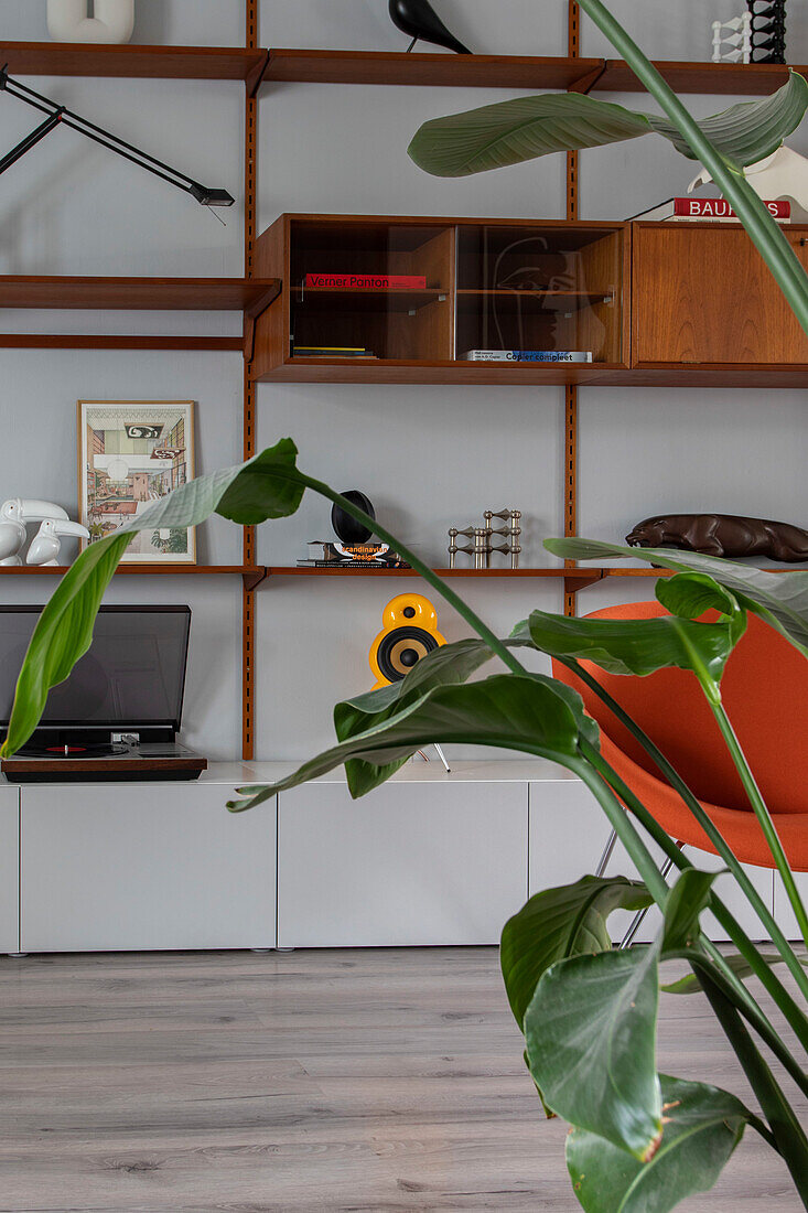 Wall shelf with books and decorations behind a large houseplant in the living room