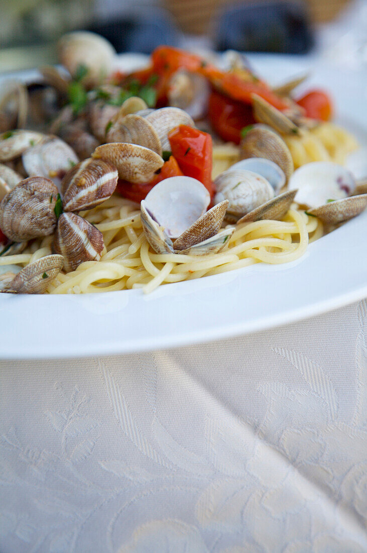 Close up of seafood spaghetti with clams\n