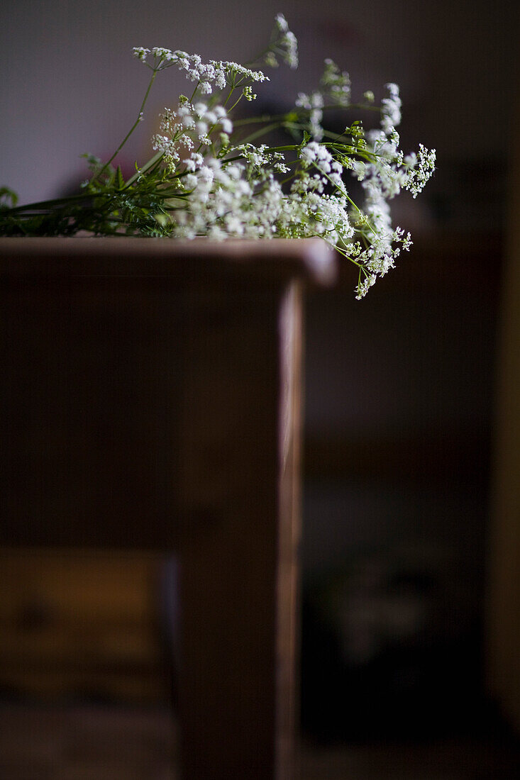 Kuh-Petersilie-Blüten auf rustikalem Tisch