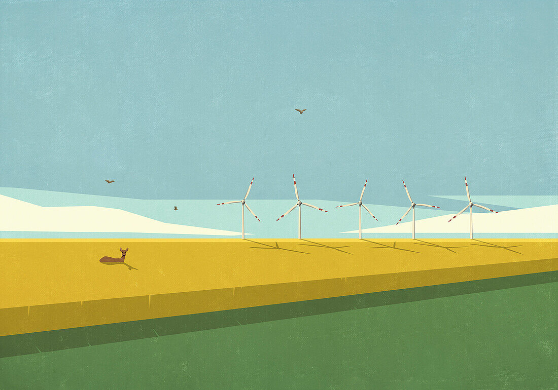 Hirsch liegt in sonnigem Feld mit Windrädern