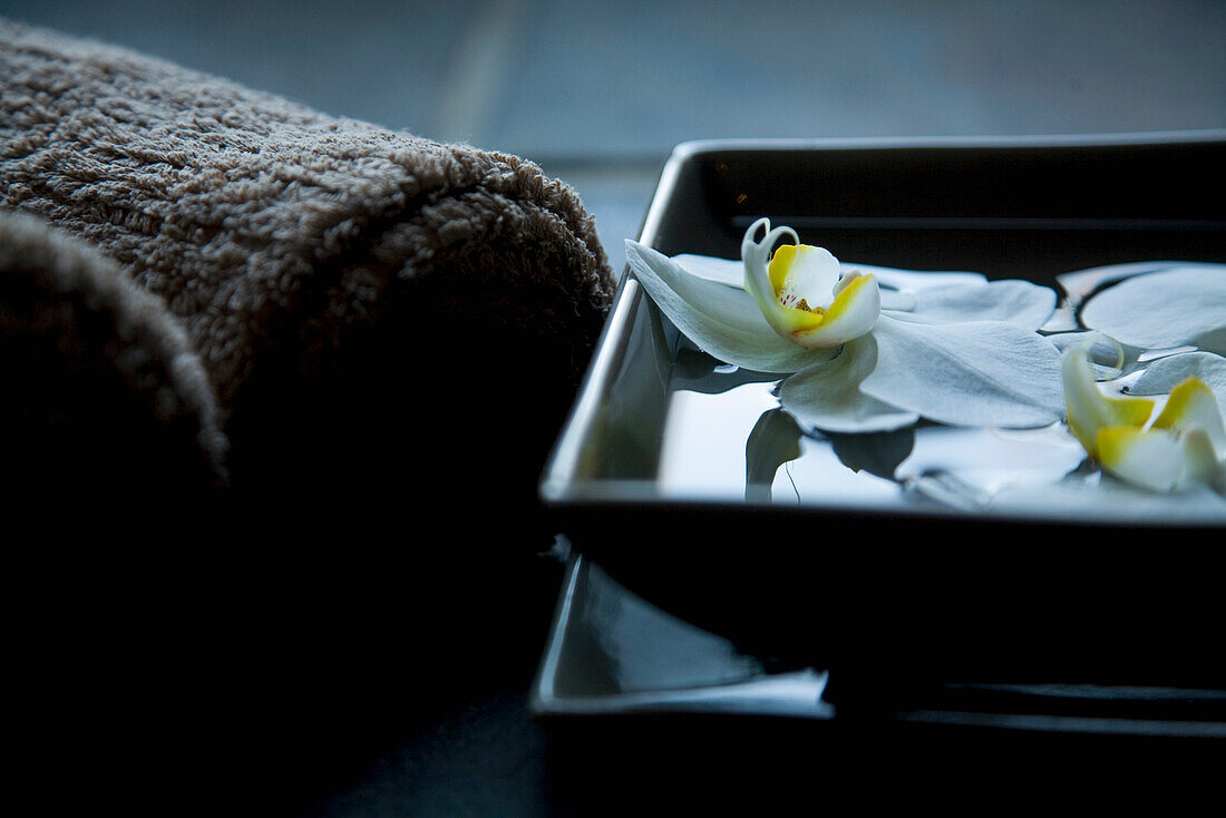 White flowers floating in square bowl with brown towels\n