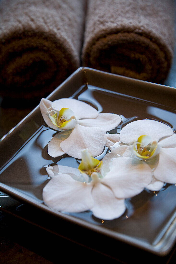 White flowers floating in square bowl with brown towels\n