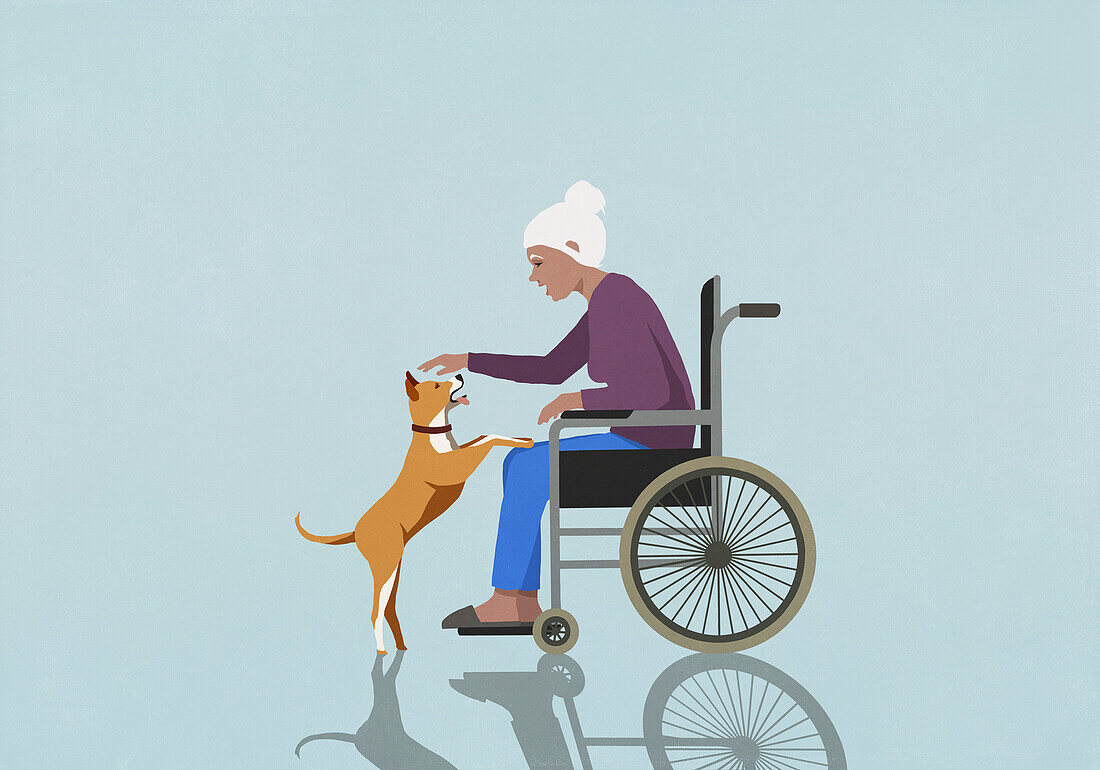 Senior woman in wheelchair playing with dog\n