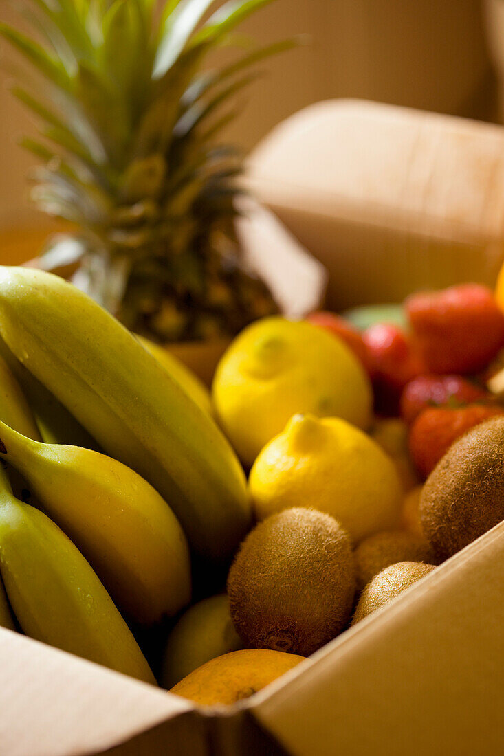 Nahaufnahme einer Kiste mit Bio-Obst