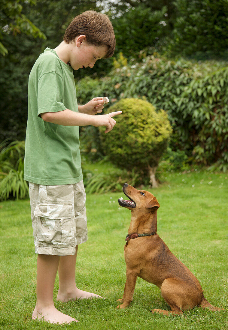 Young boy  training his dog to sit\n