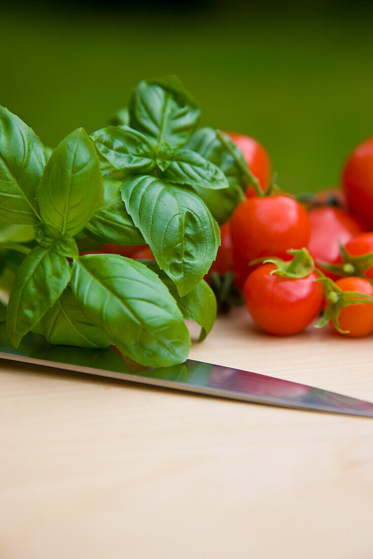 Close up of cherry tomatoes basil leaves and a knife blade\n