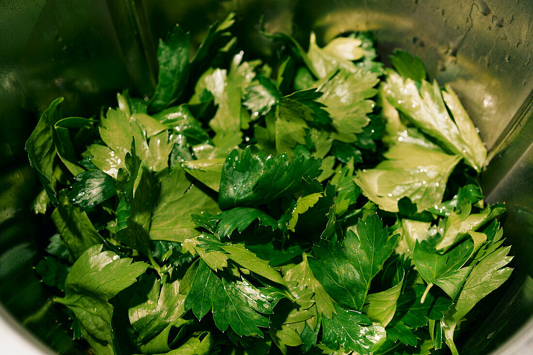Close up wet cilantro leaves in bowl\n