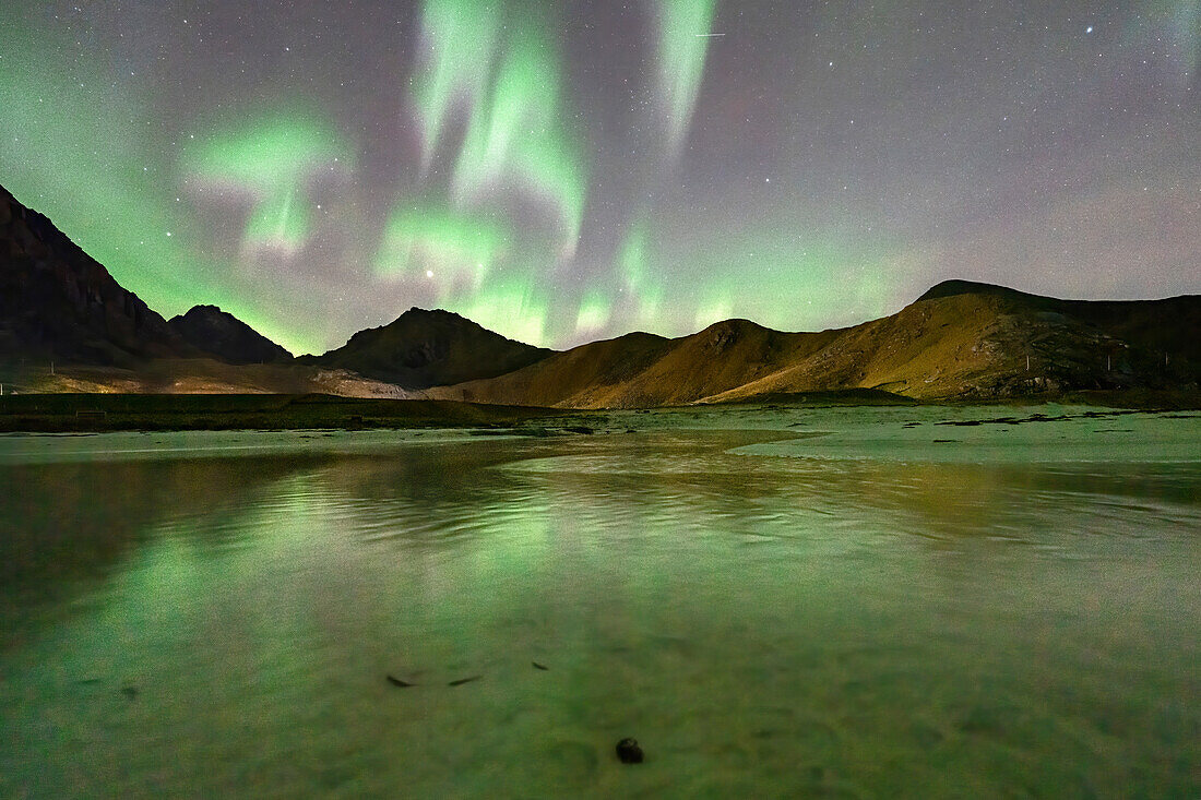 Grüne Lichter der Aurora Borealis (Nordlichter) spiegeln sich im gefrorenen Meer am Haukland Strand, Lofoten Inseln, Nordland, Norwegen, Skandinavien, Europa