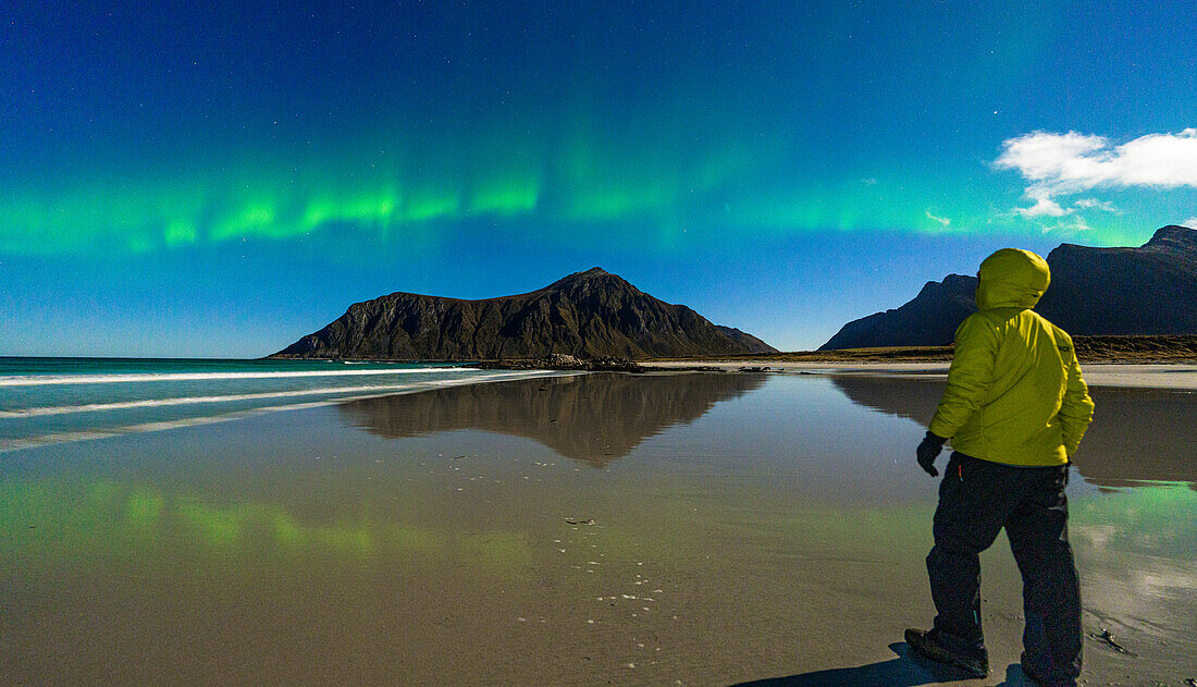 Lone hiker admiring mountains and cold arctic sea under the Aurora Borealis (Northern Lights), Skagsanden beach, Ramberg, Lofoten Islands, Nordland, Norway, Scandinavia, Europe\n
