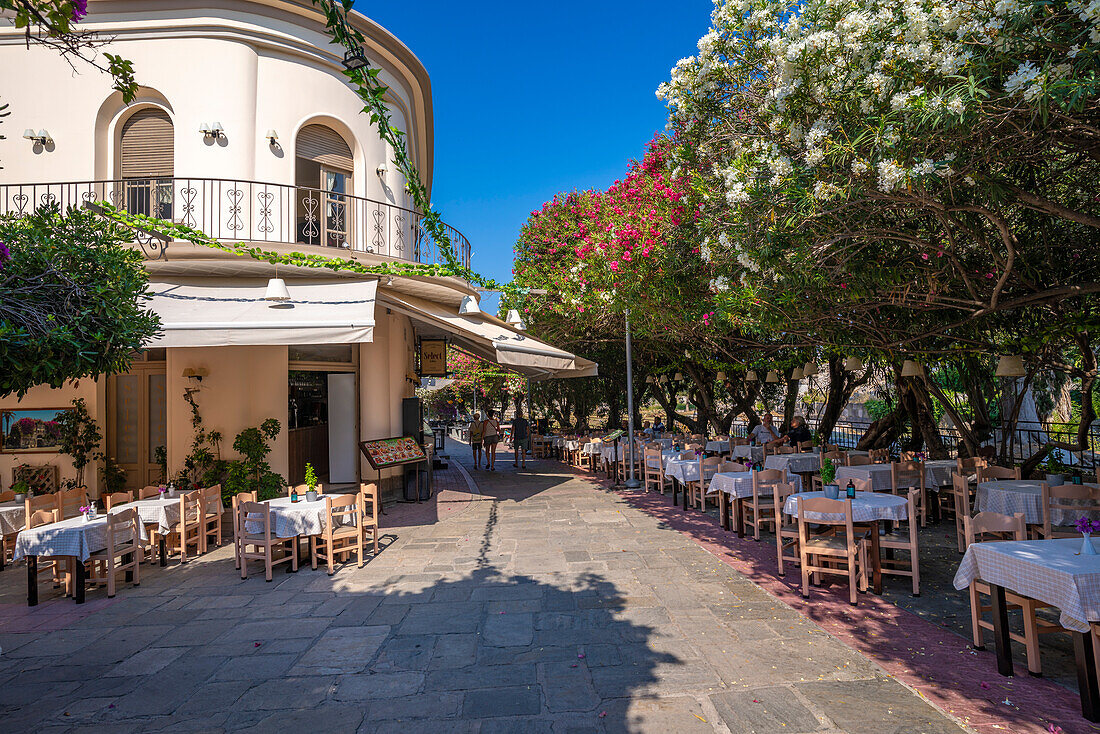 Blick auf eine Taverne zwischen blühenden Bäumen, Kos Stadt, Kos, Dodekanes, Griechische Inseln, Griechenland, Europa