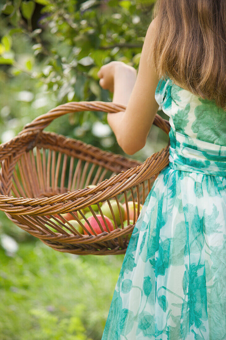 Rückenansicht eines Mädchens im Teenageralter in einer Apfelplantage, das einen mit Äpfeln gefüllten Weidenkrug hält