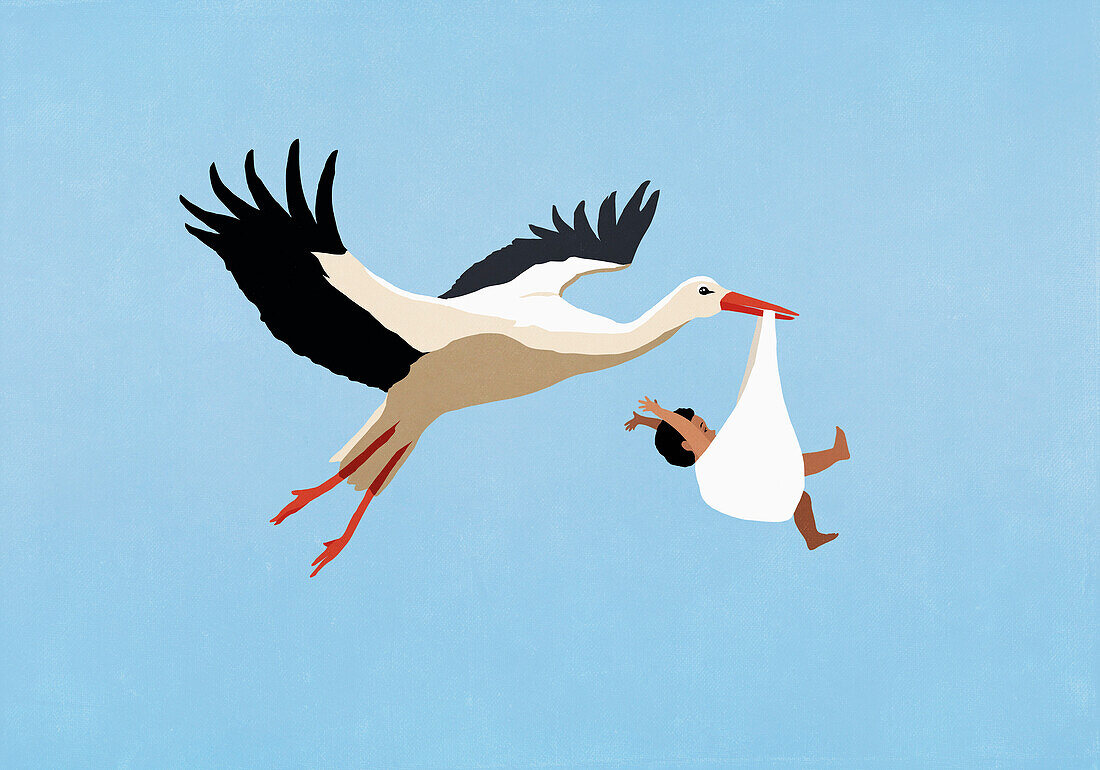 White Stork delivering baby boy, flying in blue sky\n