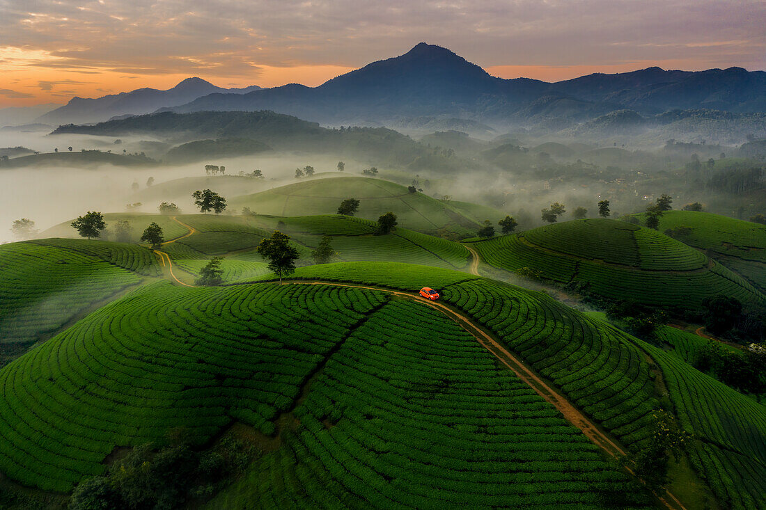 Aerial of red car on road through Long Coc Tea Hill, Vietnam, Indochina, Southeast Asia, Asia\n