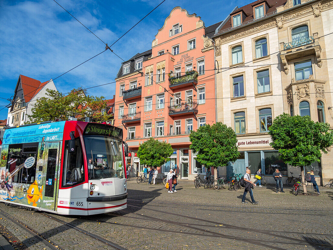 Blick auf die Stadt Erfurt, die Hauptstadt und größte Stadt des mitteldeutschen Bundeslandes Thüringen, Deutschland, Europa