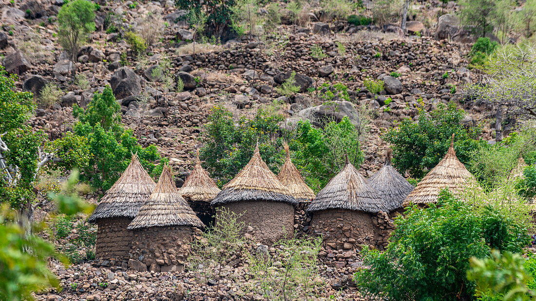 Traditional huts on the border of Nigeria, Northern Cameroon, Africa\n