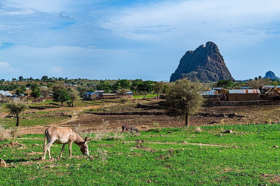 Dorf und Mondlandschaft, Rhumsiki, Mandara-Gebirge, Provinz Fern-Nord, Kamerun, Afrika