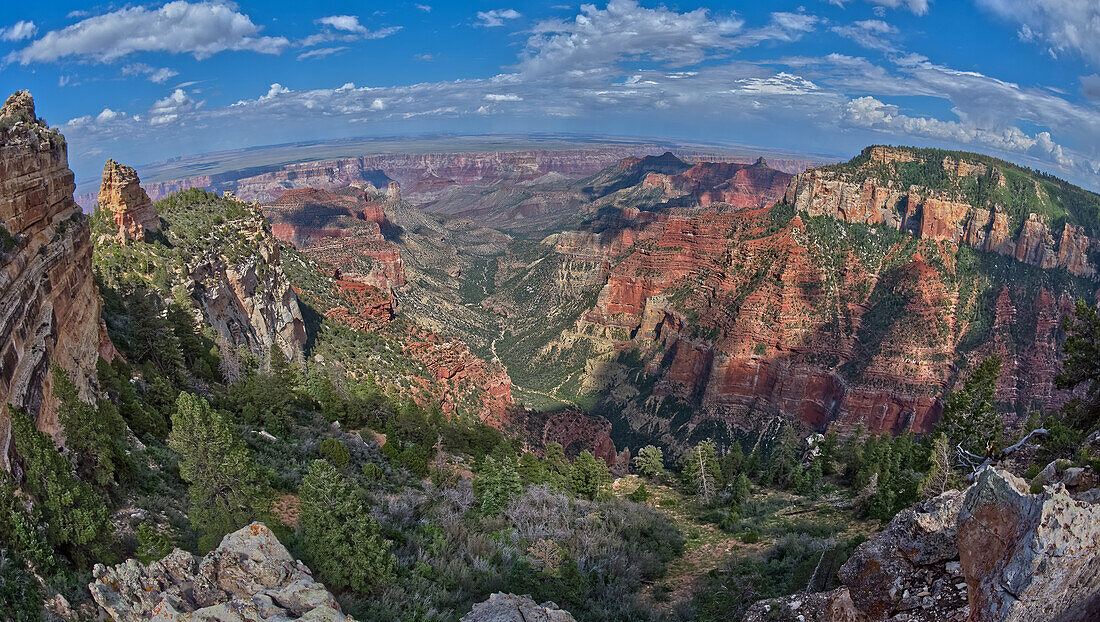 Grand Canyon North Rim viewed from Roosevelt Point with Tritle Peak on the left and Atoko Point on the right, Gand Canyon, Arizona, United States of America, North Amerca\n