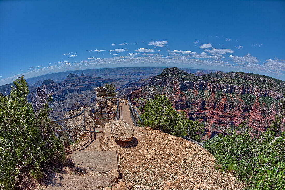 Ein Aussichtspunkt entlang des Transept Trail mit Oza Butte rechts der Mitte am Grand Canyon North Rim, Grand Canyon National Park, UNESCO Welterbe, Arizona, Vereinigte Staaten von Amerika, Nordamerika