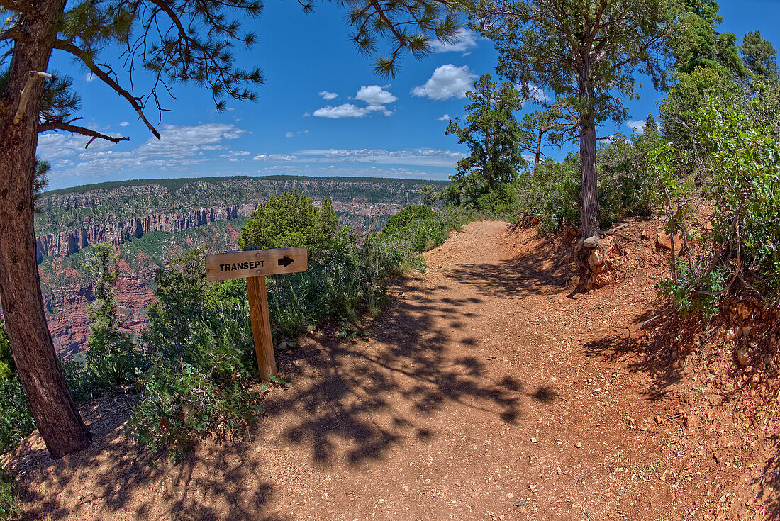 The Transept Trail sign where it branches off from the Bright Angel Point Trail on the North Rim of Grand Canyon, Grand Canyon National Park, UNESCO World Heritage Site, Arizona, United States of America, North America\n