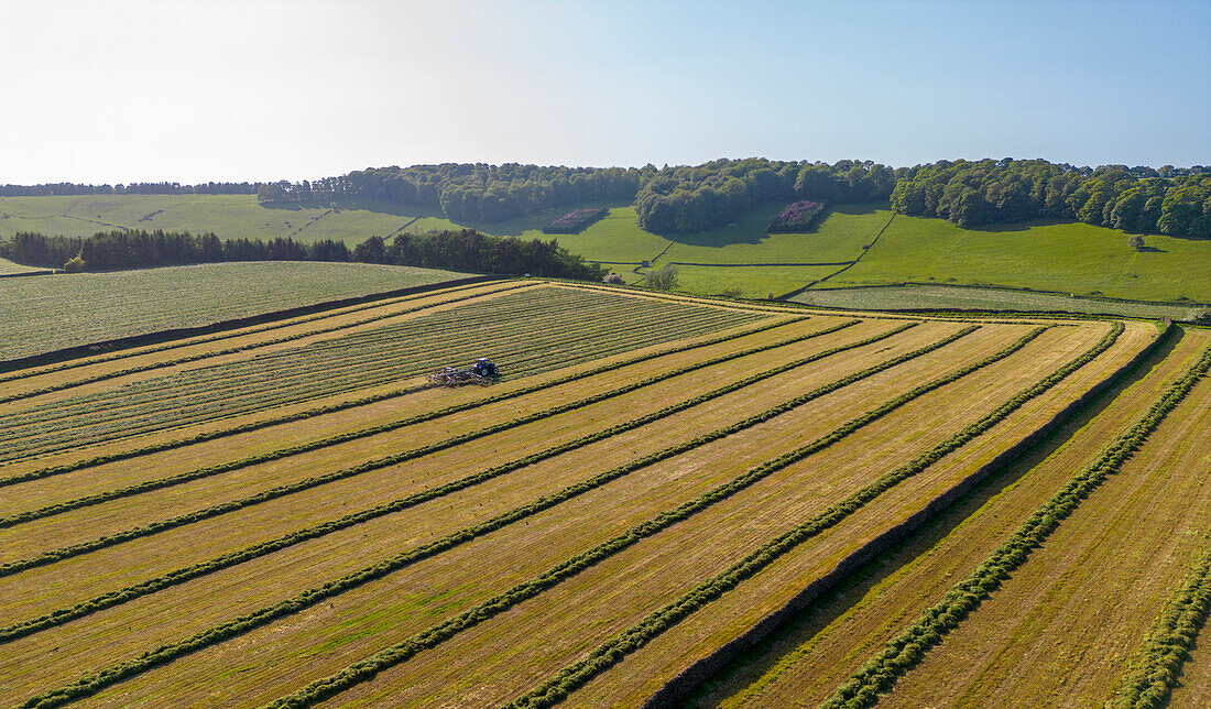 Aerial view of hay fields near Baslow village, Peak District National Park, Derbyshire, England, United Kingdom, Europe\n