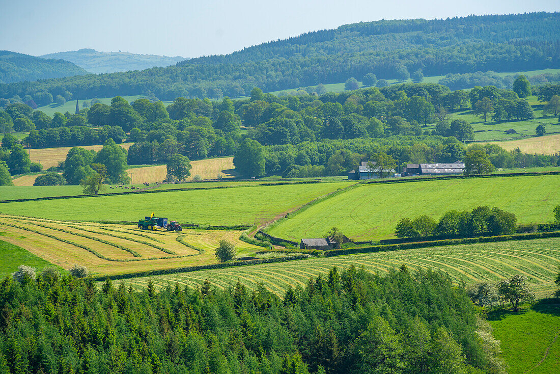 View of farmland near Chatsworth House in spring, Derbyshire Dales, Derbyshire, England, United Kingdom, Europe\n