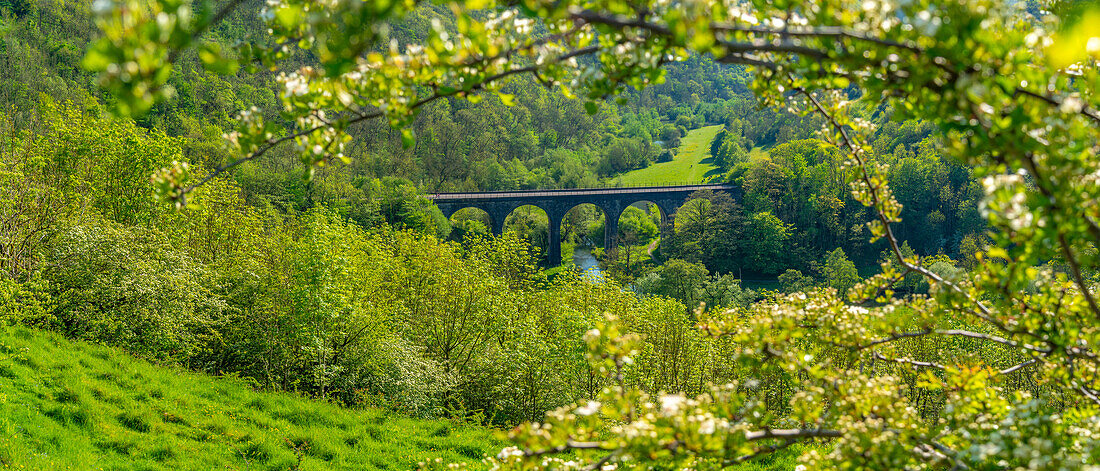 View of Monsal Viaduct in Monsal Dale, Peak District National Park, Derbyshire, England, United Kingdom, Europe\n