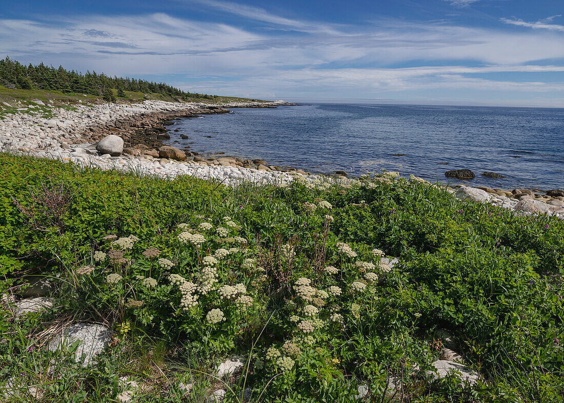 Rocky Coastline by the Atlantic Ocean, Dr. Bill Freedman Nature Preserve, Nature Conservancy of Canada, Nova Scotia, Canada, North America\n