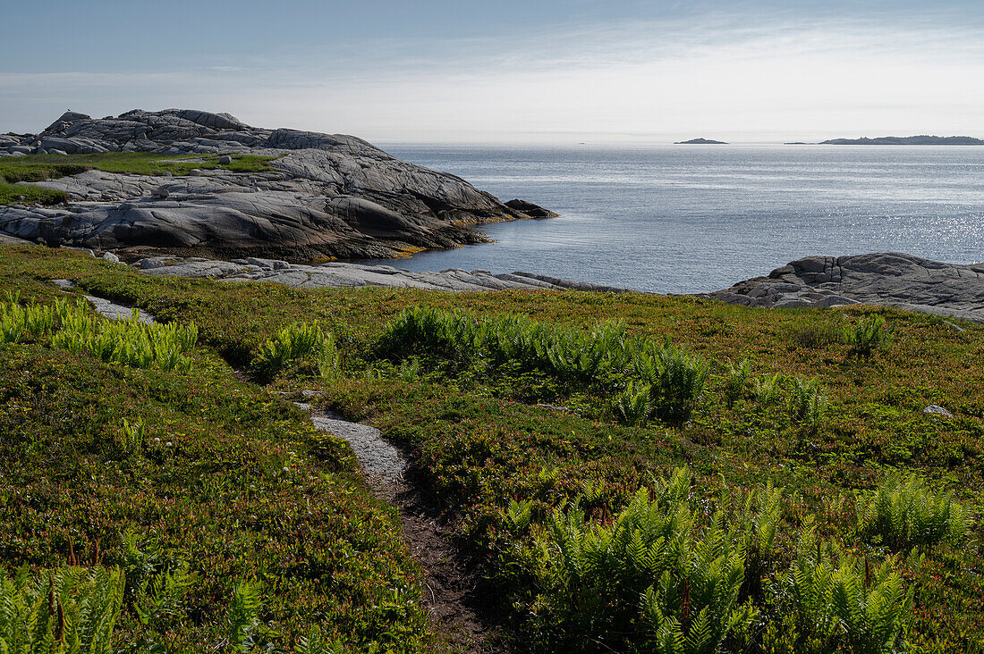 Rocky Coastline by the Atlantic Ocean, Dr. Bill Freedman Nature Preserve, Nature Conservancy of Canada, Nova Scotia, Canada, North America\n