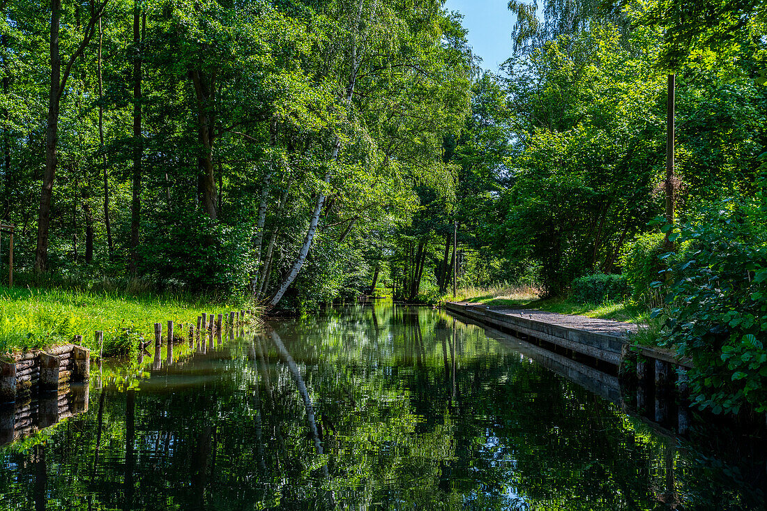 Wasserkanal, UNESCO-Biosphärenreservat, Spreewald, Brandenburg, Deutschland, Europa