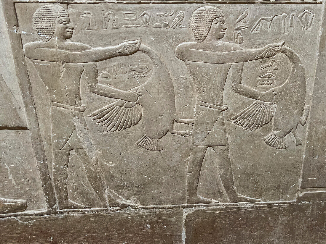 Relief from a tomb in Saqqara, part of the Memphite Necropolis, UNESCO World Heritage Site, Egypt, North Africa Africa\n