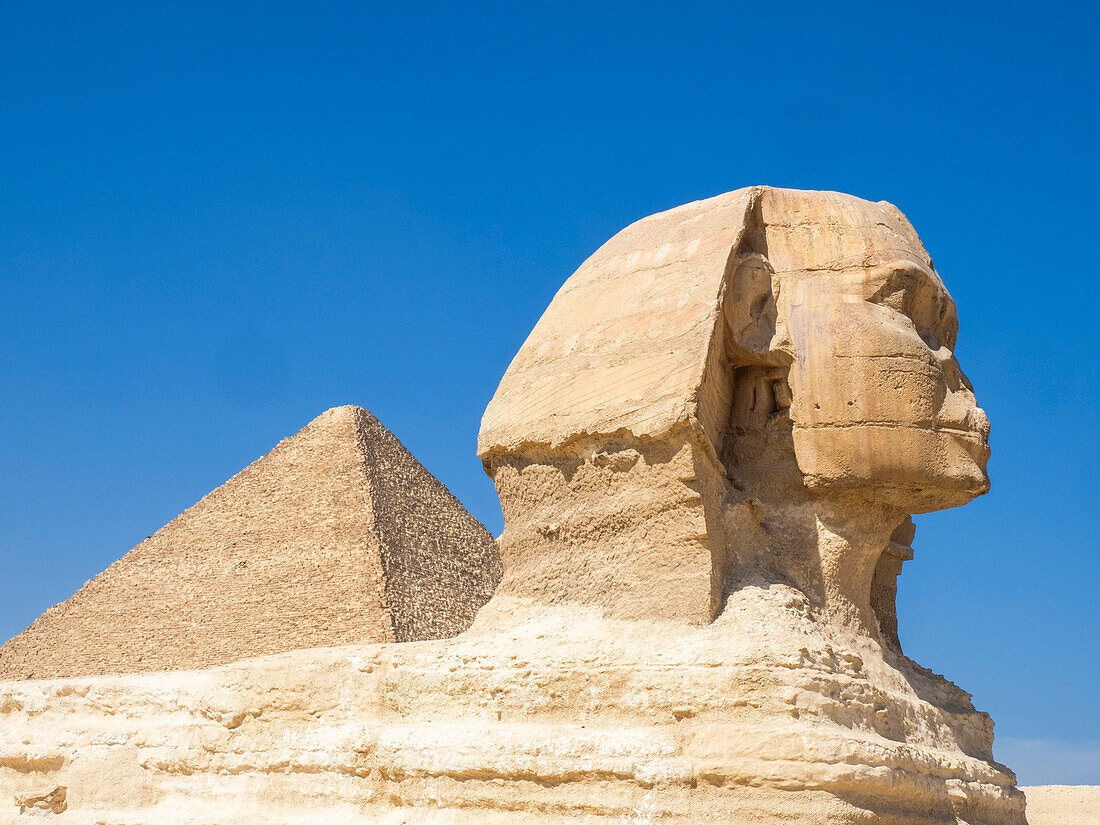 Die Große Sphinx von Gizeh in der Nähe der Großen Pyramide von Gizeh, dem ältesten der Sieben Weltwunder, UNESCO-Weltkulturerbe, Gizeh, bei Kairo, Ägypten, Nordafrika